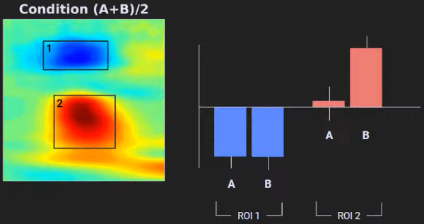 NeuroAnalyzer.jl